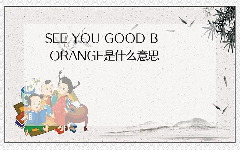 SEE YOU GOOD B ORANGE是什么意思