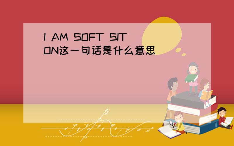 I AM SOFT SIT ON这一句话是什么意思