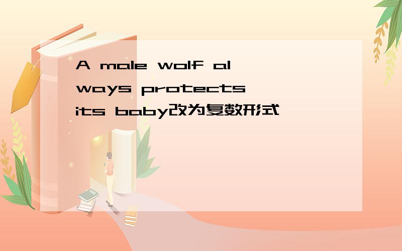 A male wolf always protects its baby改为复数形式