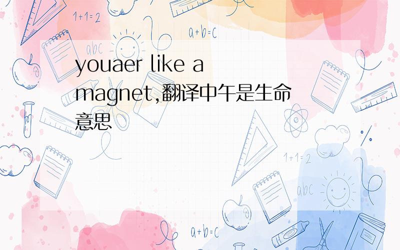 youaer like a magnet,翻译中午是生命意思