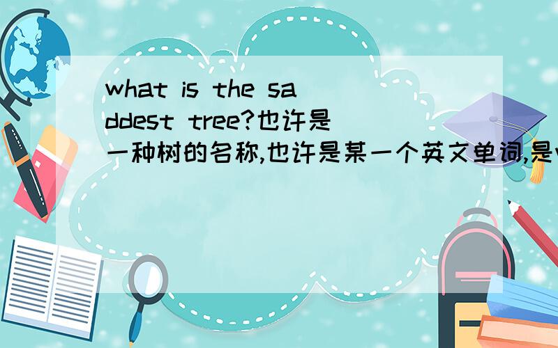 what is the saddest tree?也许是一种树的名称,也许是某一个英文单词,是weeping willow