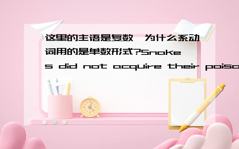 这里的主语是复数,为什么系动词用的是单数形式?Snakes did not acquire their poison for use against man but for use against prey such as rats and mice,and the effects on these of viperine poison is almost immediate.这是新概念英