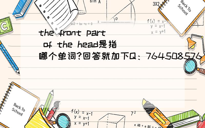 the front part of the head是指哪个单词?回答就加下Q：764508576