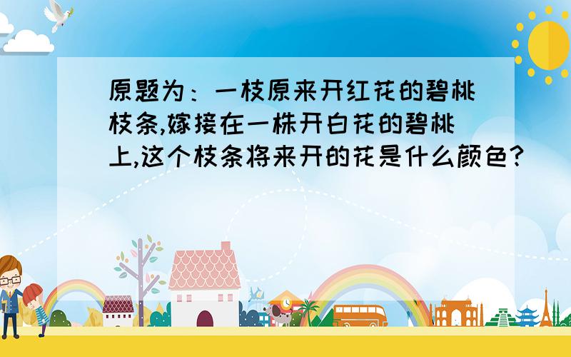 原题为：一枝原来开红花的碧桃枝条,嫁接在一株开白花的碧桃上,这个枝条将来开的花是什么颜色?