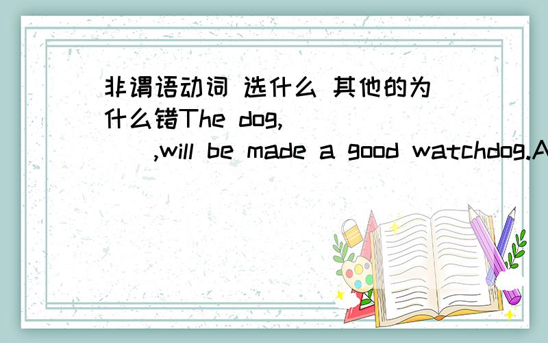 非谓语动词 选什么 其他的为什么错The dog,_____,will be made a good watchdog.A.to train properly B.being trained properly C.properly to train D.trained properly