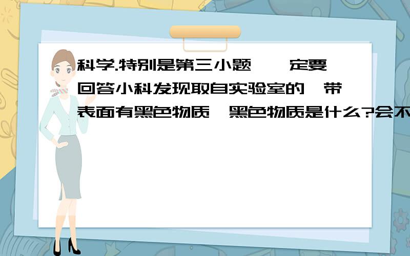 科学.特别是第三小题,一定要回答小科发现取自实验室的镁带表面有黑色物质,黑色物质是什么?会不会是镁带缓慢氧化后产生的氧化镁?(1)小科把磨去黑色物质的镁带放在▲ (填化学式)中燃烧,