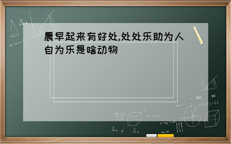 晨早起来有好处,处处乐助为人自为乐是啥动物