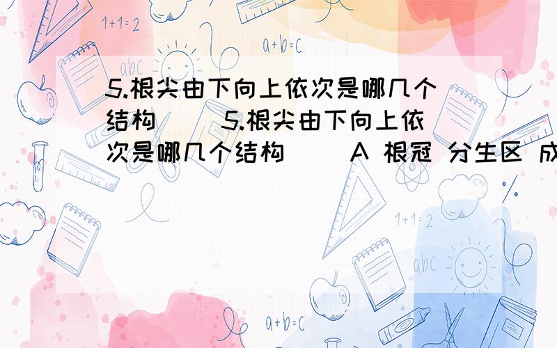 5.根尖由下向上依次是哪几个结构( )5.根尖由下向上依次是哪几个结构（ ）A 根冠 分生区 成熟区 伸长区B 根冠 成熟区 分生区伸长区C 根冠 分生区 伸长区 成熟区D 根冠 伸长区 分生区 伸长区