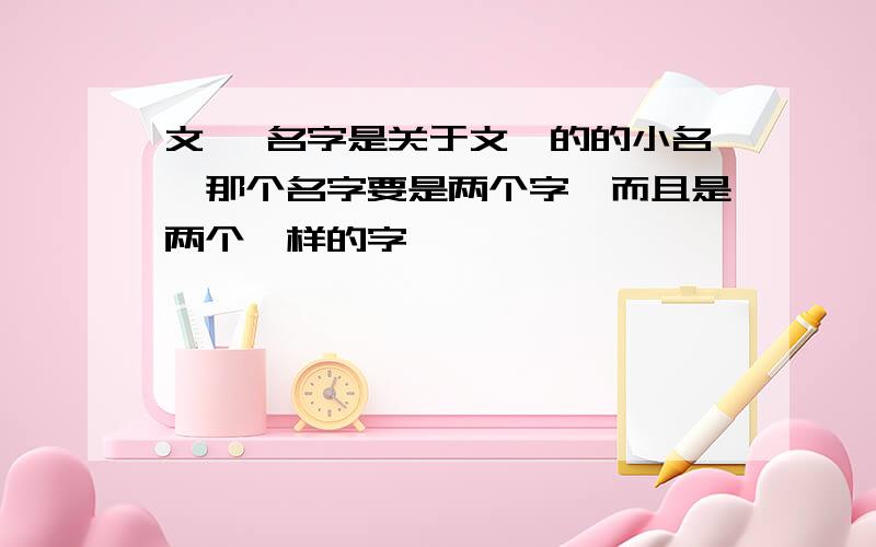 文婧 名字是关于文婧的的小名,那个名字要是两个字,而且是两个一样的字