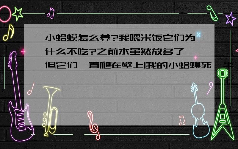 小蛤蟆怎么养?我喂米饭它们为什么不吃?之前水虽然放多了,但它们一直爬在壁上!我的小蛤蟆死一半了!