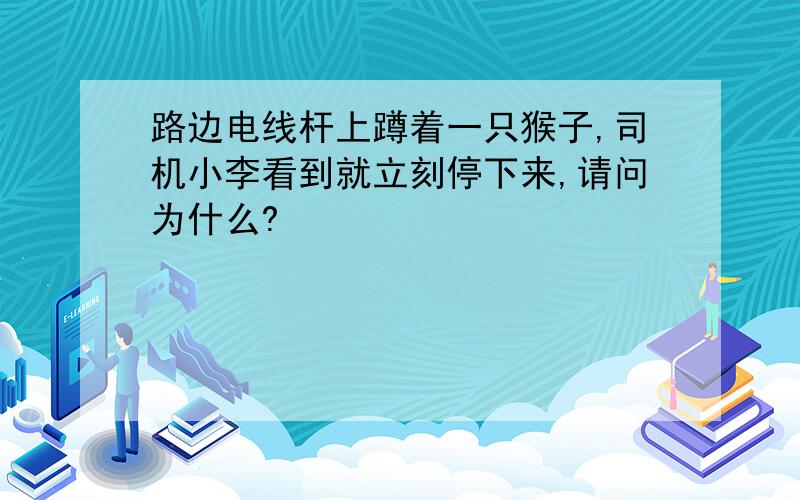 路边电线杆上蹲着一只猴子,司机小李看到就立刻停下来,请问为什么?