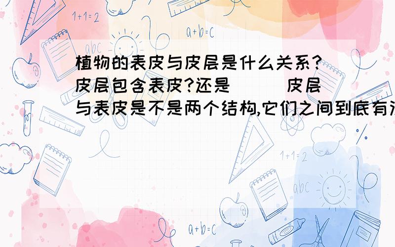 植物的表皮与皮层是什么关系?皮层包含表皮?还是```皮层与表皮是不是两个结构,它们之间到底有没有包含与被包含的关系?