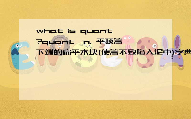 what is quant ?quant  n. 平顶篙下端的扁平木块(使篙不致陷入泥中)字典的解释是这个 可这个为什么又叫   金融工程师?