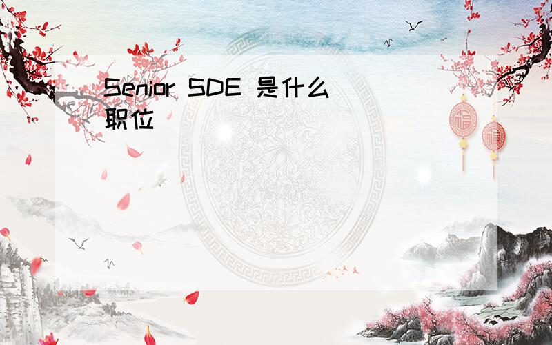 Senior SDE 是什么职位