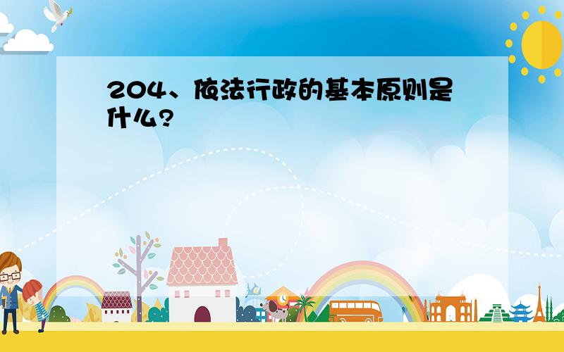 204、依法行政的基本原则是什么?