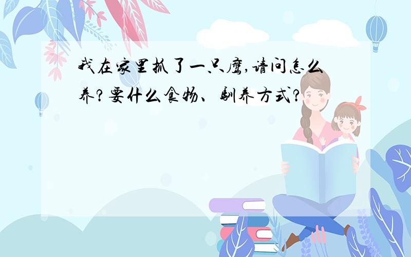 我在家里抓了一只鹰,请问怎么养?要什么食物、驯养方式?