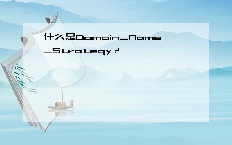 什么是Domain_Name_Strategy?