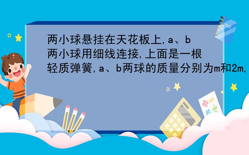 两小球悬挂在天花板上,a、b两小球用细线连接,上面是一根轻质弹簧,a、b两球的质量分别为m和2m,在细线烧断瞬间,为什么a球的加速度为-2g而不是-3gA在上B在下