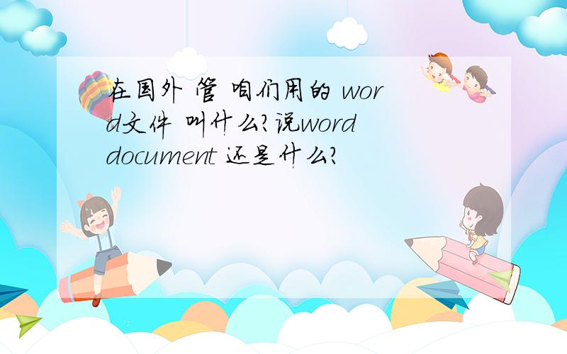 在国外 管 咱们用的 word文件 叫什么?说word document 还是什么?