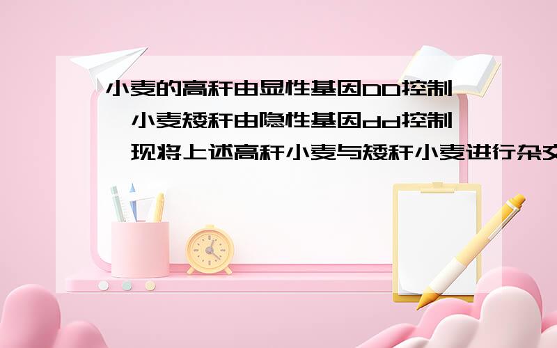 小麦的高秆由显性基因DD控制,小麦矮秆由隐性基因dd控制,现将上述高秆小麦与矮秆小麦进行杂交,子代小麦全部是高秆,请分析下列问题：1.子代高秆小麦体细胞中含有的基因是怎样的?2.如果用