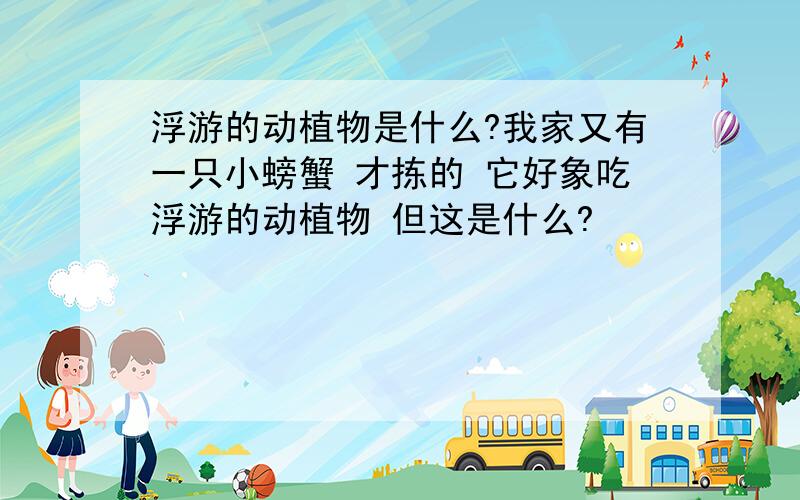 浮游的动植物是什么?我家又有一只小螃蟹 才拣的 它好象吃浮游的动植物 但这是什么?