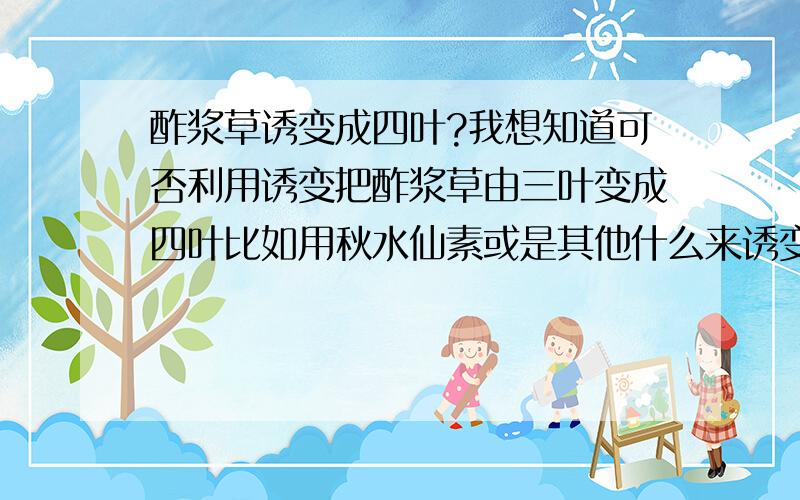 酢浆草诱变成四叶?我想知道可否利用诱变把酢浆草由三叶变成四叶比如用秋水仙素或是其他什么来诱变这个是否可行?我想要确切点的答案··