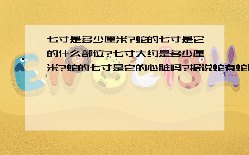 七寸是多少厘米?蛇的七寸是它的什么部位?七寸大约是多少厘米?蛇的七寸是它的心脏吗?据说蛇有蛇胆,它有什么利用价值呢?听说某些蛇皮还可以用来做皮包之类的产品,如果说是普通的蛇又该