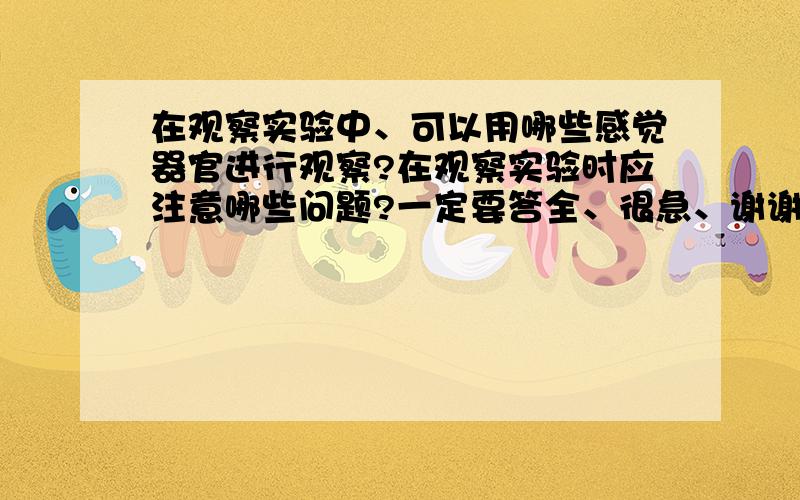 在观察实验中、可以用哪些感觉器官进行观察?在观察实验时应注意哪些问题?一定要答全、很急、谢谢了.还需要注意哪些问题？、一定要看全再答、要不不给分、。