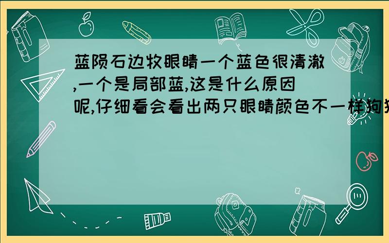 蓝陨石边牧眼睛一个蓝色很清澈,一个是局部蓝,这是什么原因呢,仔细看会看出两只眼睛颜色不一样狗狗还在犬舍,因为眼睛问题价格可以让他们便宜点吗?