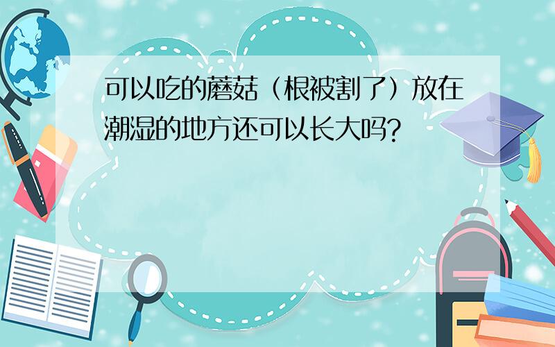 可以吃的蘑菇（根被割了）放在潮湿的地方还可以长大吗?