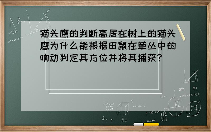 猫头鹰的判断高居在树上的猫头鹰为什么能根据田鼠在草丛中的响动判定其方位并将其捕获?