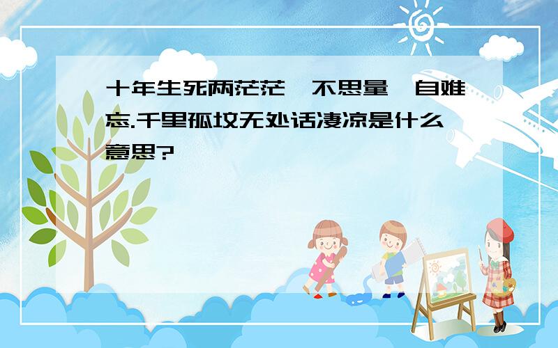 十年生死两茫茫,不思量,自难忘.千里孤坟无处话凄凉是什么意思?