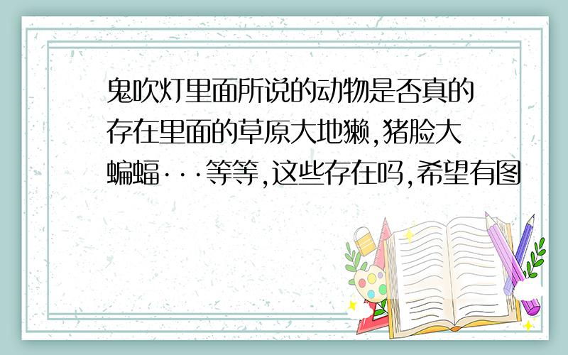 鬼吹灯里面所说的动物是否真的存在里面的草原大地獭,猪脸大蝙蝠···等等,这些存在吗,希望有图