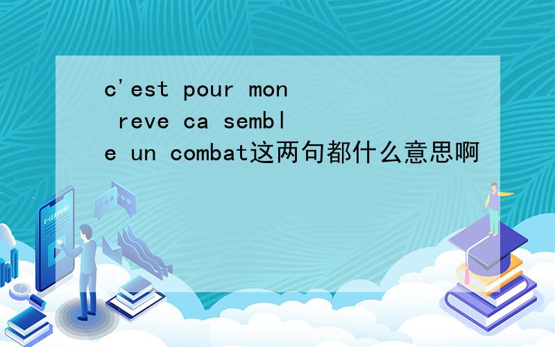 c'est pour mon reve ca semble un combat这两句都什么意思啊