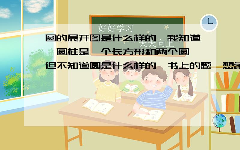 圆的展开图是什么样的,我知道,圆柱是一个长方形和两个圆,但不知道圆是什么样的,书上的题,想象中不是两个挖兜吗?球体！