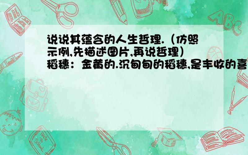 说说其蕴含的人生哲理.（仿照示例,先描述图片,再说哲理）稻穗：金黄的.沉甸甸的稻穗,是丰收的喜悦,可是它却低着头,弯着腰,把高傲的头颅埋在胸前,没有一丝自豪的神情这不正是我们的人