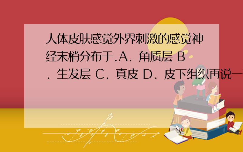 人体皮肤感觉外界刺激的感觉神经末梢分布于.A．角质层 B．生发层 C．真皮 D．皮下组织再说一下为什么