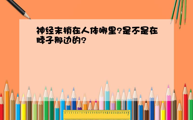 神经末梢在人体哪里?是不是在脖子那边的?