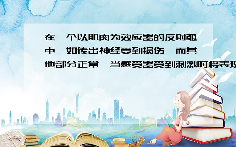 在一个以肌肉为效应器的反射弧中,如传出神经受到损伤,而其他部分正常,当感受器受到刺激时将表现为?1____(有感觉or没有感觉 ） 2_______(能运动or肌肉无收缩反应）