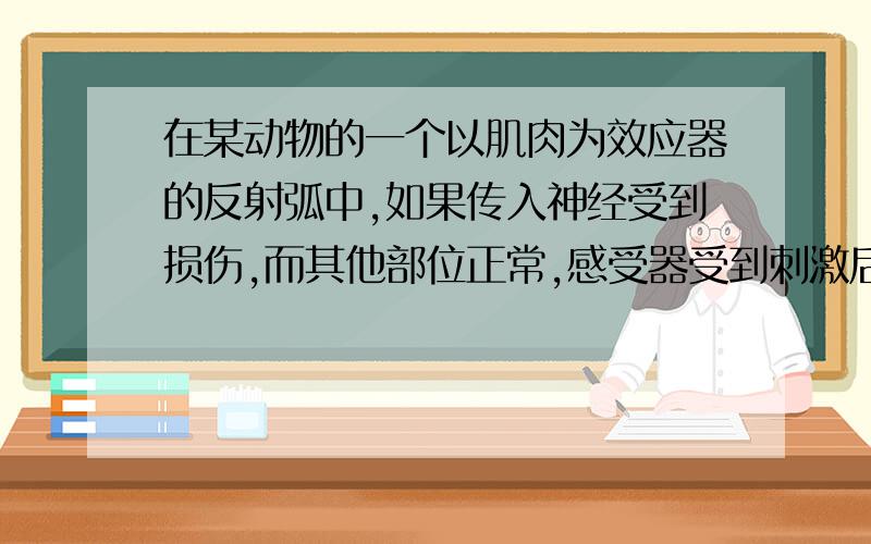 在某动物的一个以肌肉为效应器的反射弧中,如果传入神经受到损伤,而其他部位正常,感受器受到刺激后,该动