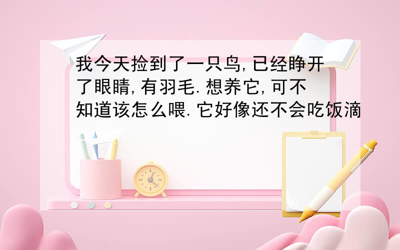 我今天捡到了一只鸟,已经睁开了眼睛,有羽毛.想养它,可不知道该怎么喂.它好像还不会吃饭滴