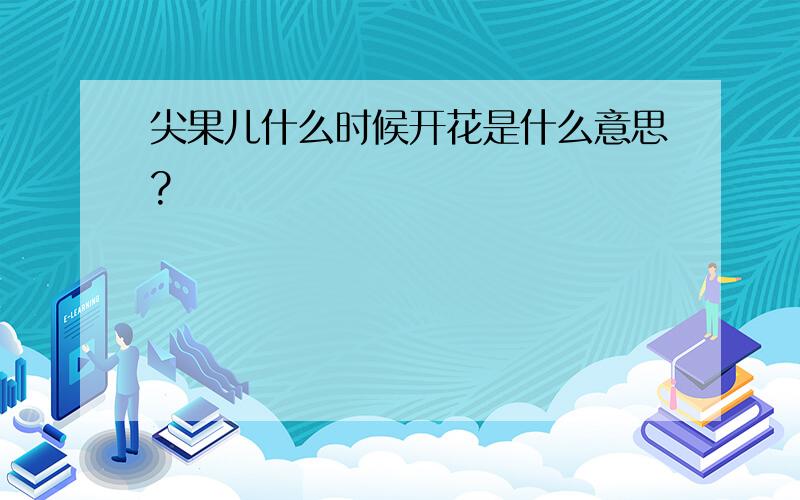 尖果儿什么时候开花是什么意思?