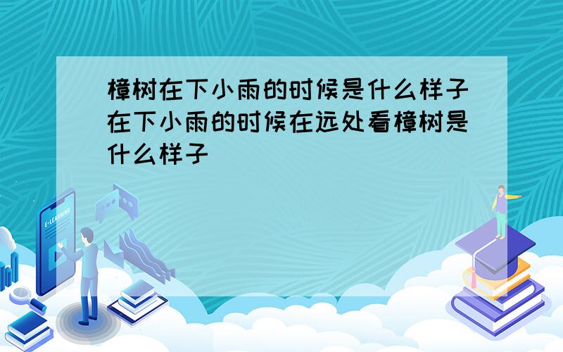 樟树在下小雨的时候是什么样子在下小雨的时候在远处看樟树是什么样子