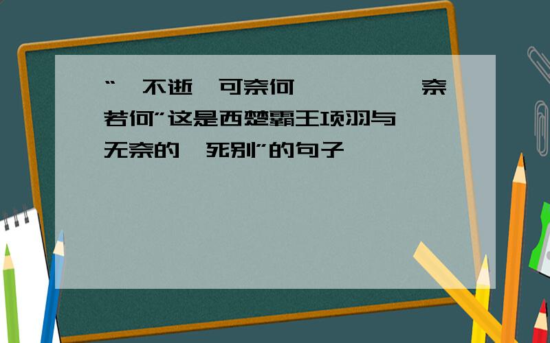 “骓不逝兮可奈何,虞兮虞兮奈若何”这是西楚霸王项羽与虞姬无奈的