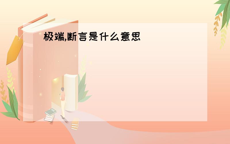 极端,断言是什么意思