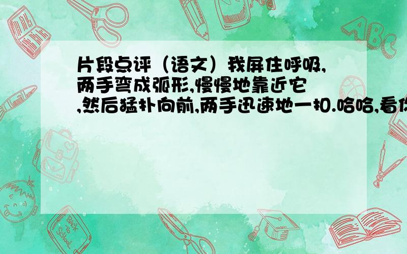 片段点评（语文）我屏住呼吸,两手弯成弧形,慢慢地靠近它 ,然后猛扑向前,两手迅速地一扣.哈哈,看你往哪里跑!婷婷也蹲下来看.我慢慢松开手,哎,我手里攥着的只是那颗蚂蚱爬过的草.”怎么