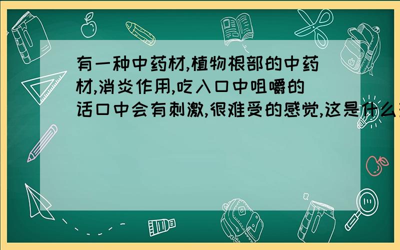 有一种中药材,植物根部的中药材,消炎作用,吃入口中咀嚼的话口中会有刺激,很难受的感觉,这是什么药材（有人说叫什么：“顶豆”可是在网上怎么查也查不到?那药材是白色的,