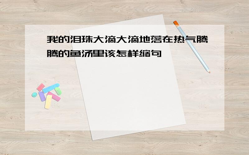 我的泪珠大滴大滴地落在热气腾腾的鱼汤里该怎样缩句