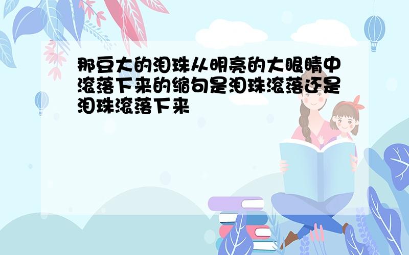 那豆大的泪珠从明亮的大眼睛中滚落下来的缩句是泪珠滚落还是泪珠滚落下来