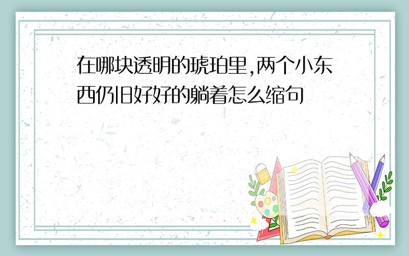 在哪块透明的琥珀里,两个小东西仍旧好好的躺着怎么缩句